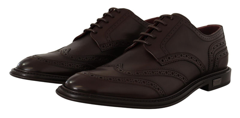 Dolce & Gabbana Brown Leather Oxford Wingtip Formal Derby